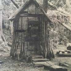 A large tree stump with a peaked roof and a door and a walkway leading up to it.