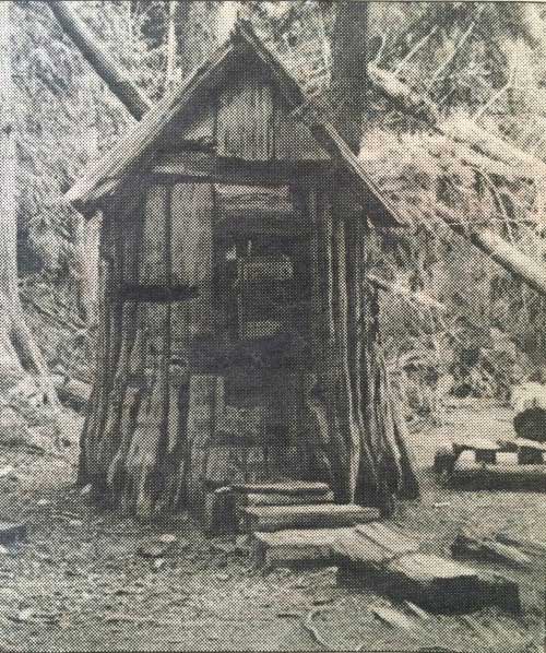A large tree stump with a peaked roof and a door and a walkway leading up to it.