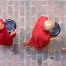 Monks with shaved heads and red robes, holding empty plates - walking in a row as seen from above