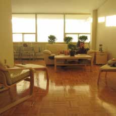 My apartment contains white leather furniture with birch coffee and side tables.