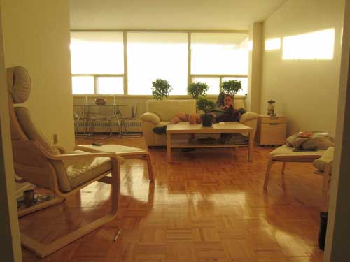 My apartment contains white leather furniture with birch coffee and side tables.