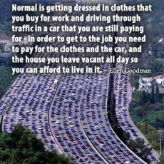 Strategy of a Lifetime is not to be stuck in 23 lanes of gridlock traffic on the way to a job you hate.