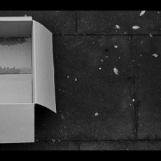 An empty, damp, cardboard box sitting on dark tile, with bits of debris scattered on the ground.