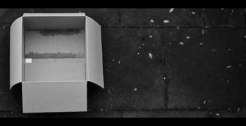 An empty, damp, cardboard box sitting on dark tile, with bits of debris scattered on the ground.