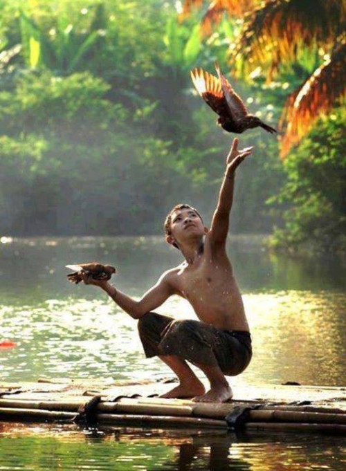 A boy on a raft holds one bird and releases another.